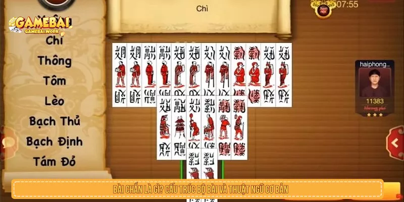 Bài chắn là gì? Cấu trúc bộ bài và thuật ngữ cơ bản