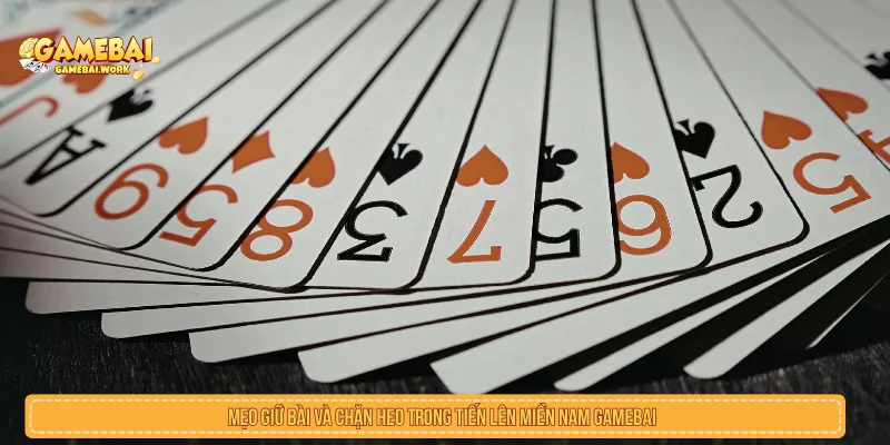 Cách Chơi Tiến Lên Miền Nam Và Mẹo Cặn Heo Giữ Bài Hay Mẹo Giữ Bài Và Chặn Heo Trong Tiến Lên Miền Nam GAMEBAI
